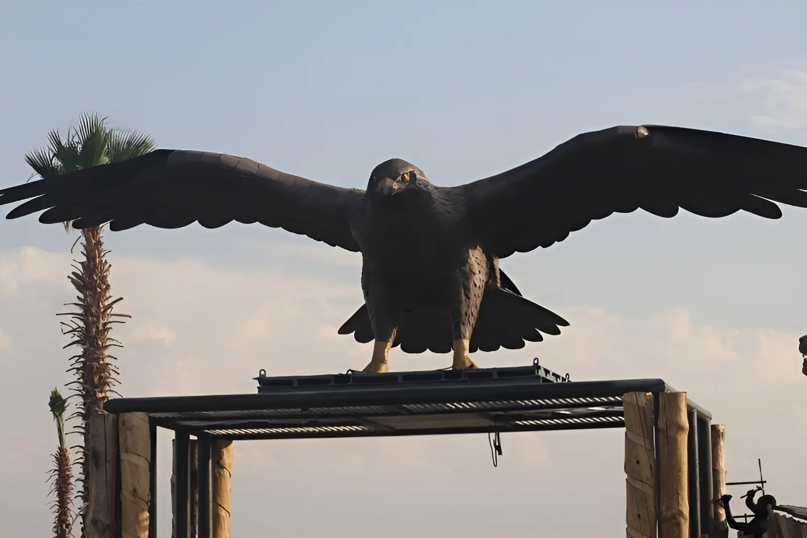 Eagle Metal Sculpture Eagle Metal Sculpture